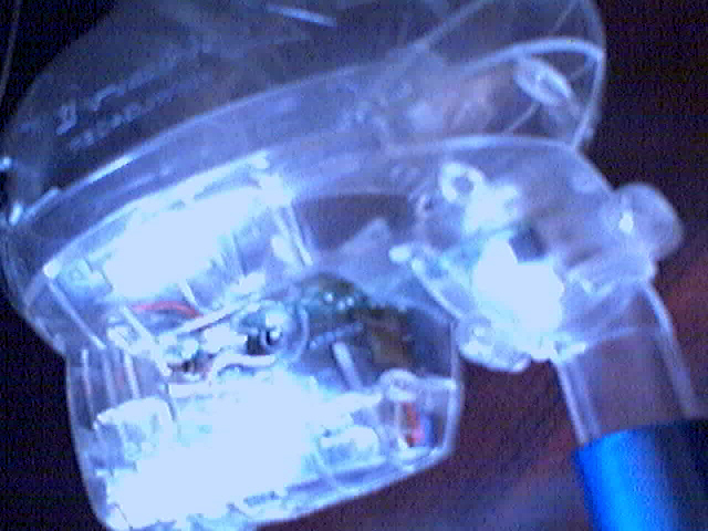 picture192.jpg
